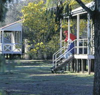 Dryandra Woodland - Airlie Beach Holiday