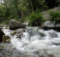 Washpool National Park - Airlie Beach Holiday