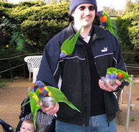 Canberra Walk In Aviary - Airlie Beach Holiday