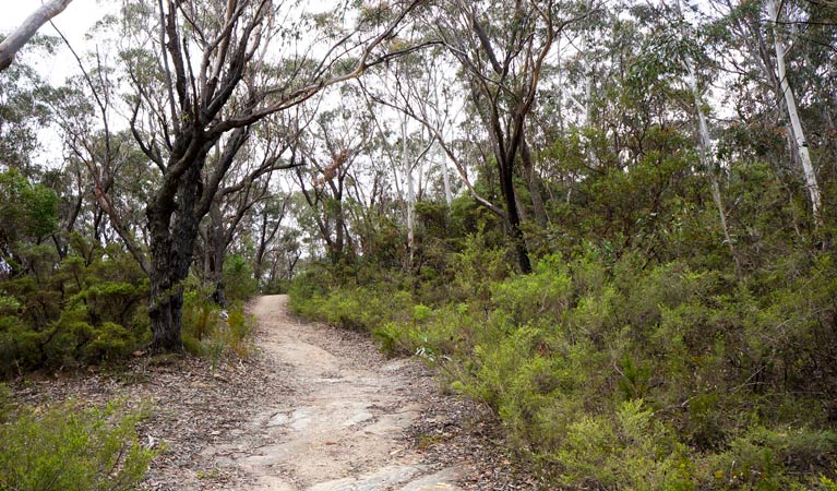 Rydal NSW Airlie Beach Holiday