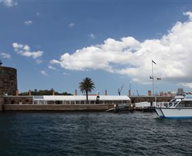 H2O Maxi Taxis - Airlie Beach Holiday 0