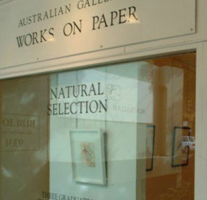 Australian Galleries - Glenmore Road - Airlie Beach Holiday 0