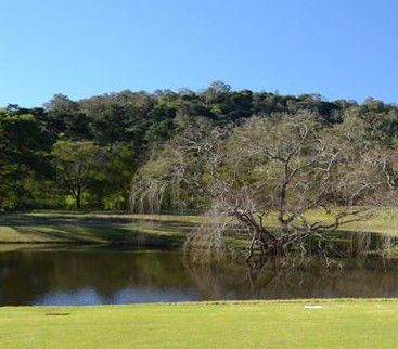 Antill Park Country Golf Club - Airlie Beach Holiday 1
