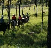 Hunter Valley Horse Riding and Adventures - Airlie Beach Holiday
