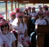 Newcastles Famous Tram - Airlie Beach Holiday