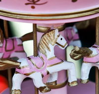 Newcastle City Farmers Markets - Airlie Beach Holiday