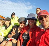 Byron Bay Whale Watching - Airlie Beach Holiday