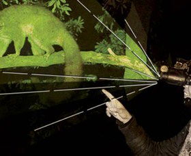 After Dark Nature Tours - Airlie Beach Holiday 0