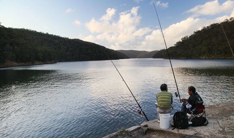 D'Albora Marinas At Akuna Bay - Airlie Beach Holiday 3