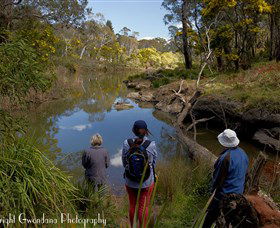 Australian Sightseeing And Photography Tours - Airlie Beach Holiday 5