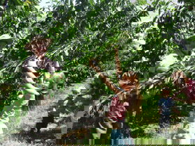 Forest Range ACT Airlie Beach Holiday