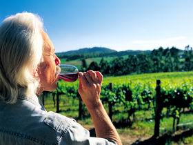 Ashton Hills Vineyard - Airlie Beach Holiday 0