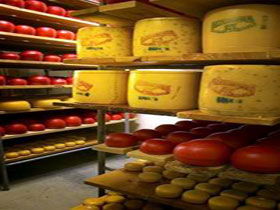 Alexandrina Cheese Company - Airlie Beach Holiday 0