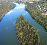 Sturt's Tree - Airlie Beach Holiday
