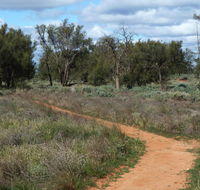 Grasslands Nature trail - Airlie Beach Holiday