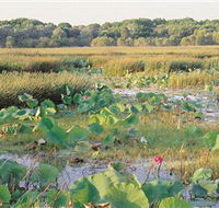 Fogg Dam Conservation Reserve - Airlie Beach Holiday
