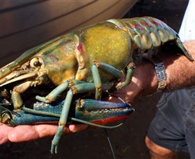 Fairbairn Dam, Lake Maraboon - Airlie Beach Holiday 3