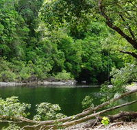 Broadwater Abergowrie State Forest - Airlie Beach Holiday
