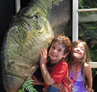 Australian Opal Centre - Airlie Beach Holiday