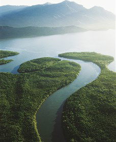 Fishing On Hinchinbrook Island - Airlie Beach Holiday 0