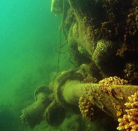 Wreck Diving at Magnetic Island - Airlie Beach Holiday