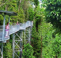 Mamu Tropical Skywalk - Airlie Beach Holiday