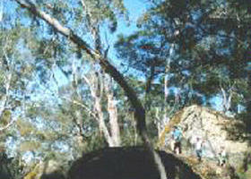 Killara ACT Airlie Beach Holiday
