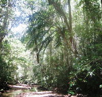 Mount Lewis National Park - Airlie Beach Holiday
