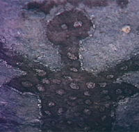 Quinkan Reserves Ancient Rock Art - Airlie Beach Holiday
