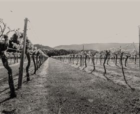 Halls Gap Estate - Airlie Beach Holiday 0