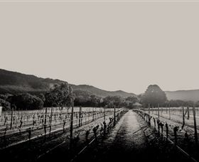 Halls Gap Estate - Airlie Beach Holiday 1