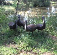 East Tolans Farm Tour - Airlie Beach Holiday