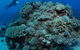 Keeper Reef Dive Site - thumb 1