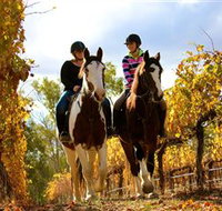 Billabong Ranch - Airlie Beach Holiday