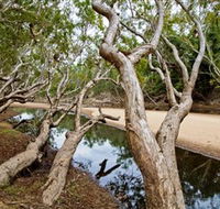 Oyala Thumotang National Park CYPAL - Airlie Beach Holiday