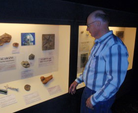 Big Fish Fossil Hut At Peak Hill - Airlie Beach Holiday 1