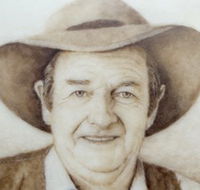 Doris Golder Wool Art Gallery - Airlie Beach Holiday