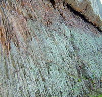 The Rock Nature Reserve - Kengal Aboriginal Place - Airlie Beach Holiday
