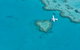 Heart Reef - thumb 2