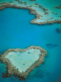 Heart Reef - Airlie Beach Holiday 3