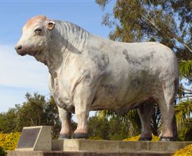 Rockhampton Bull Statues - Airlie Beach Holiday 1