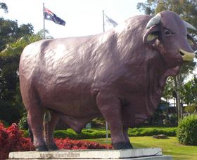 Rockhampton Bull Statues - Airlie Beach Holiday 0