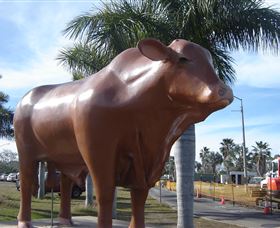 Rockhampton Bull Statues - Airlie Beach Holiday 3
