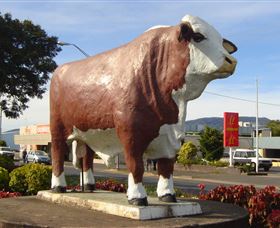 Rockhampton Bull Statues - Airlie Beach Holiday 2