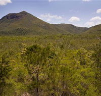 Kutini-Payamu Iron Range National Park CYPAL - Airlie Beach Holiday