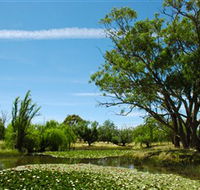 Wirraminna Environmental Education Centre - Airlie Beach Holiday