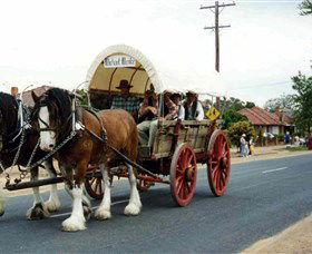 The Trek Wagon Walla Walla - Airlie Beach Holiday 1