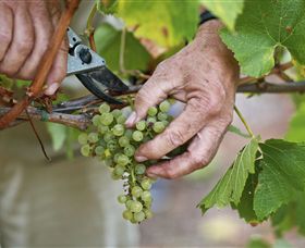 Austins & Co. - Airlie Beach Holiday 1