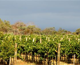 Amulet Vineyard And Beechworth Cider - Airlie Beach Holiday 7