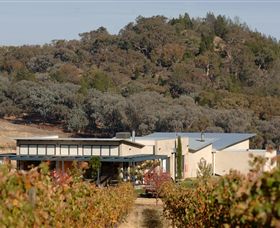 Amulet Vineyard And Beechworth Cider - Airlie Beach Holiday 8